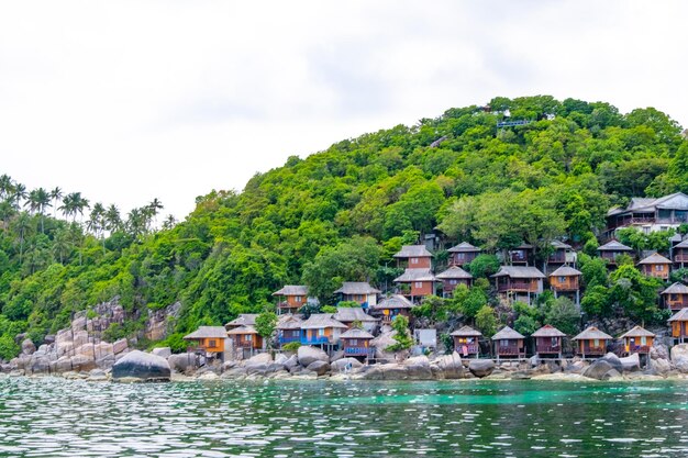 Belle vue sur le paysage à Koh Tao Thaïlande