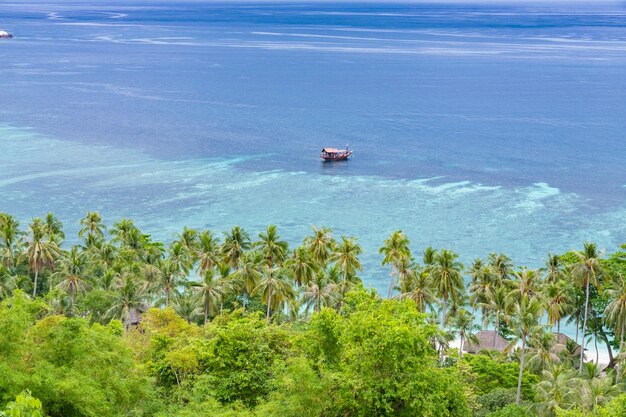 Belle vue sur le paysage à Koh Tao Thaïlande