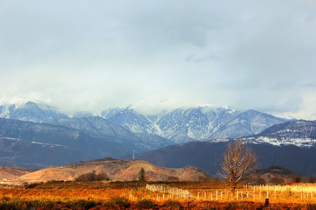 Belle vue et paysage de montagne en Géorgie. Lieux colorés