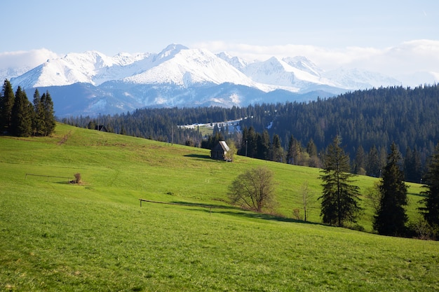 Belle vue sur le paysage de montagne, parc national des Tatras, Pologne. Hautes Tatras, Carpates