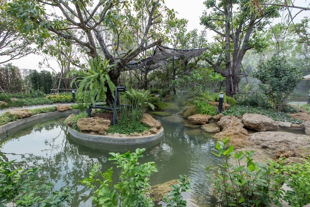 Belle vue sur le paysage naturel dans le jardin de la maison