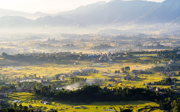 Belle vue paysage de rizières à Katmandou Népal