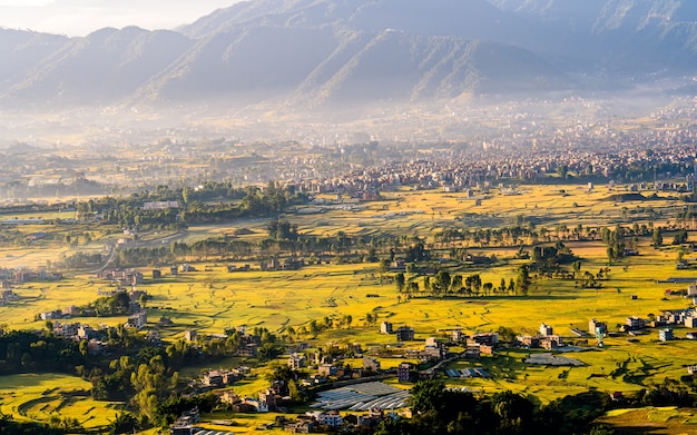Belle vue paysage de rizières à Katmandou Népal