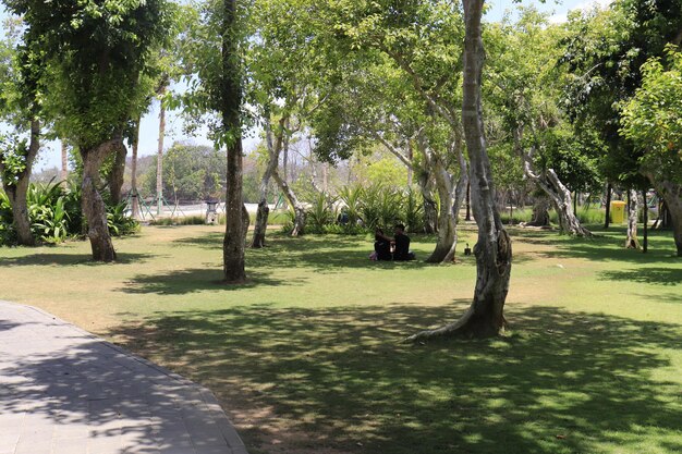 Une belle vue sur la plage de Nusa Dua à Bali Indonésie