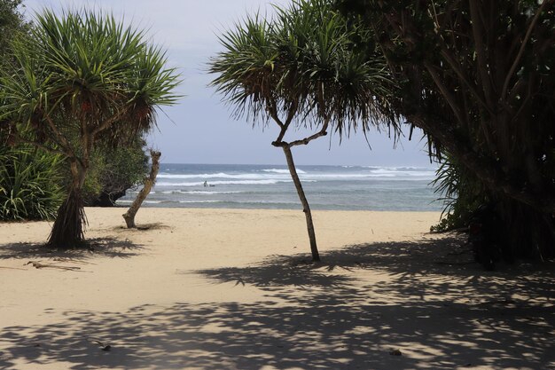 Une belle vue sur la plage de Nusa Dua à Bali Indonésie