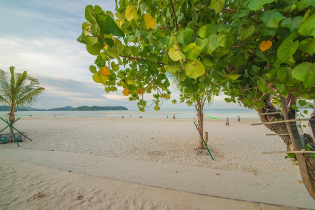 Une belle vue sur la plage de Pantai Cenang Langkawi Malaisie