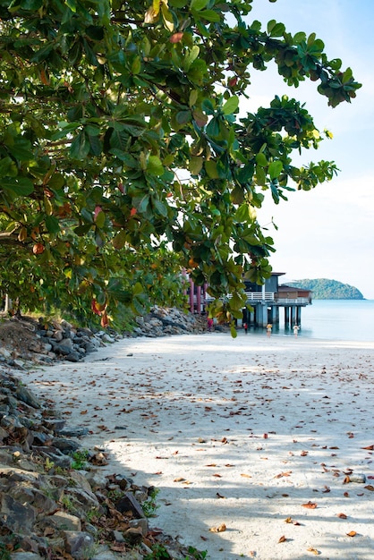 Une belle vue sur la plage de Pantai Cenang à Langkawi en Malaisie