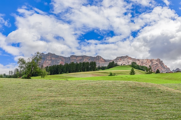 Une belle vue sur une prairie alpine fraîchement coupée.