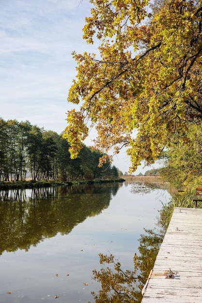 Belle vue sur la rivière avec des arbres Paysage d'automne au bord de la rivière