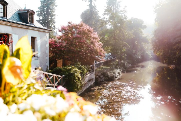 Belle vue sur la rivière depuis les faisceaux lumineux du pont brouillard sur les fleurs roses de la rivière