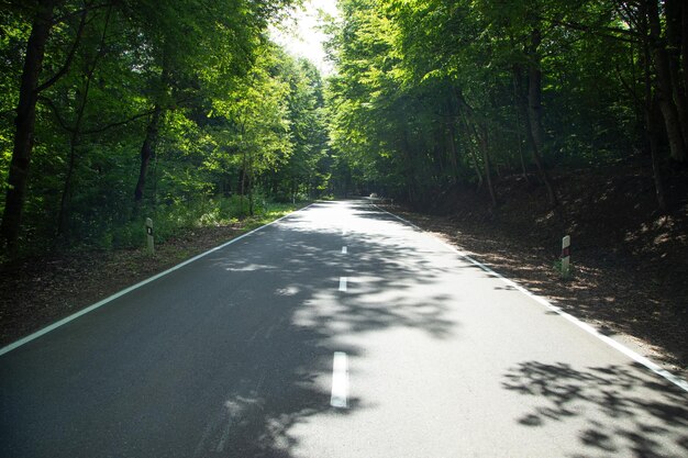 Belle vue sur route de campagne