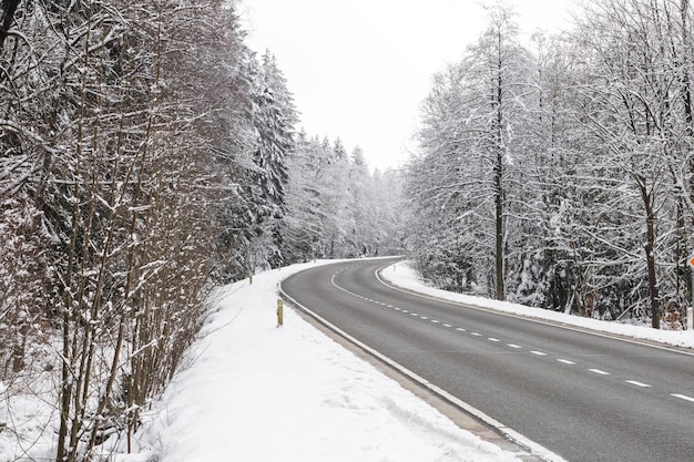 Belle vue sur la route dans la forêt d'hiver