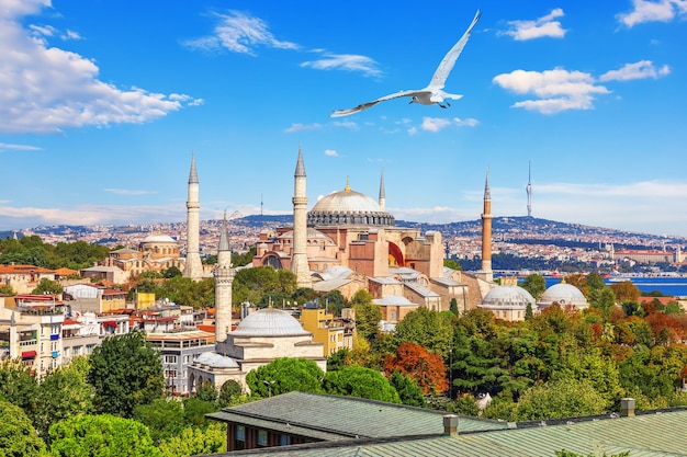 Belle vue sur Sainte-Sophie célèbre monument d'Istanbul Turquie