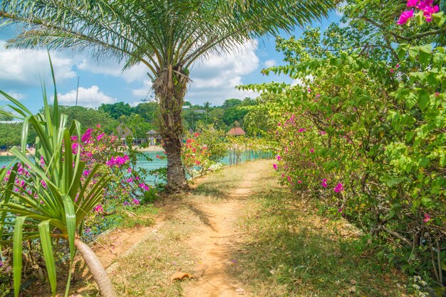 Une belle vue de Sentosa Islanda située à Singapour