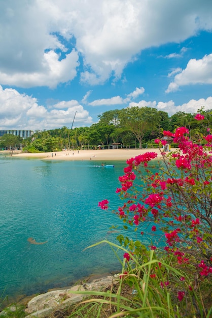 Une belle vue de Sentosa Islanda située à Singapour