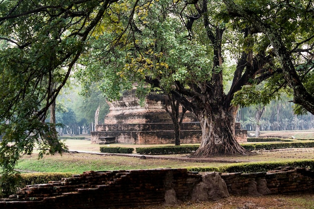 Une belle vue de Sukhothai en Thaïlande