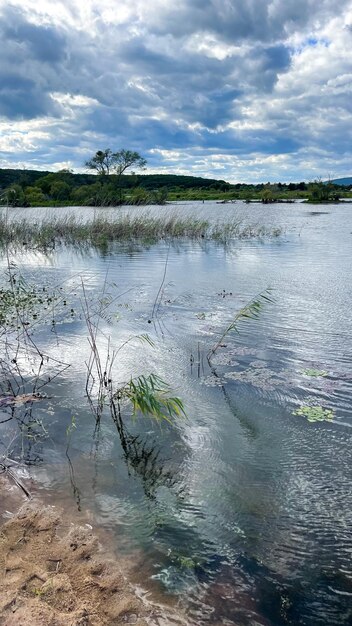 belle vue sur la surface du lac avec des nuages réfléchis