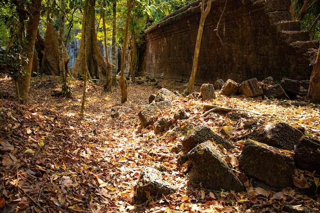 Une belle vue sur le temple d'Angkor Wat situé à Siem Reap au Cambodge