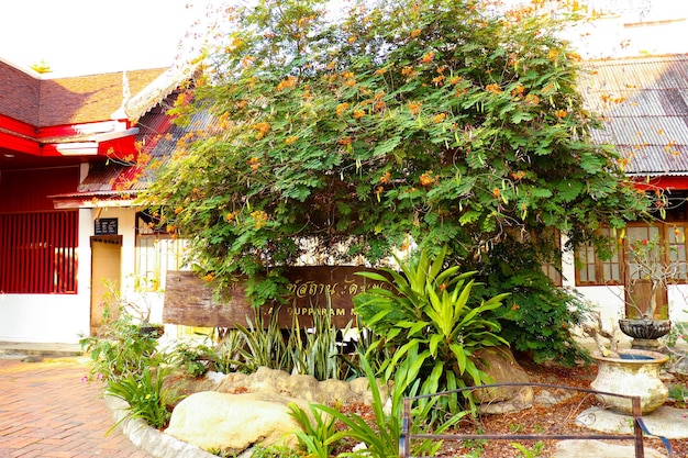 Une belle vue sur le temple bouddhiste situé à Chiang Mai Thaïlande