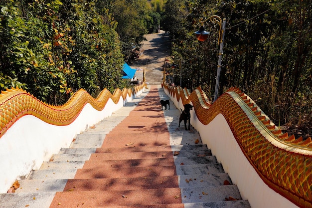 Une belle vue sur le temple bouddhiste situé à Chiang Mai Thaïlande