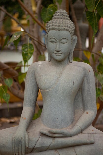 Une belle vue sur le temple bouddhiste situé à Siem Reap au Cambodge