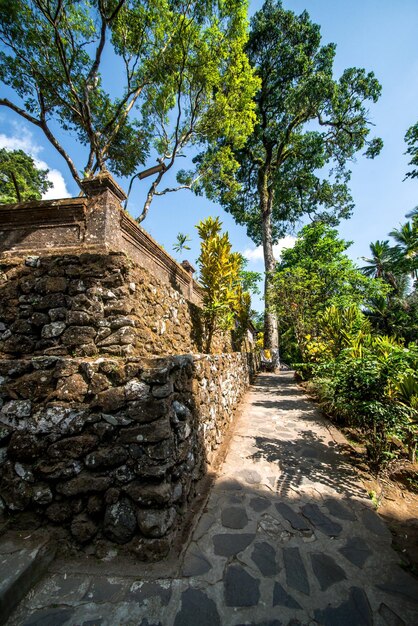 Une belle vue sur le temple Gunung Kawi situé à Bali Indonésie