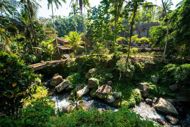 Une belle vue sur le temple Gunung Kawi situé à Bali Indonésie