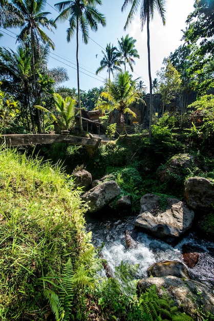 Une belle vue sur le temple Gunung Kawi situé à Bali Indonésie