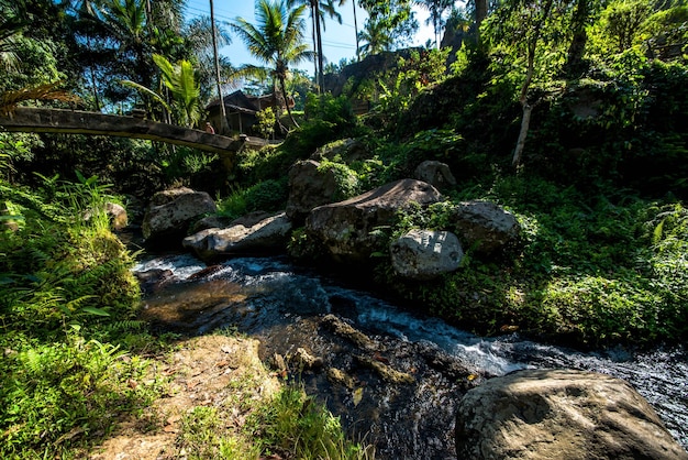 Une belle vue sur le temple Gunung Kawi situé à Bali Indonésie