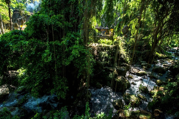 Une belle vue sur le temple Gunung Kawi situé à Bali Indonésie