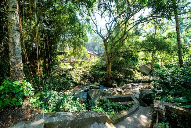 Une belle vue sur le temple Gunung Kawi situé à Bali Indonésie