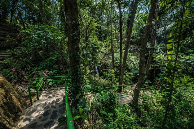 Une belle vue sur le temple hindou situé à Bali en Indonésie