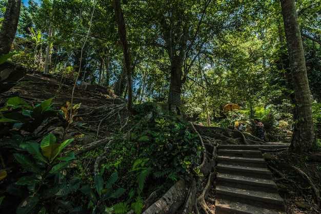 Une belle vue sur le temple hindou situé à Bali en Indonésie