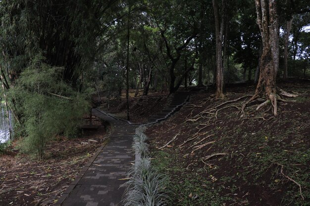 Une belle vue sur le temple Taman Ayun situé à Bali Indonésie