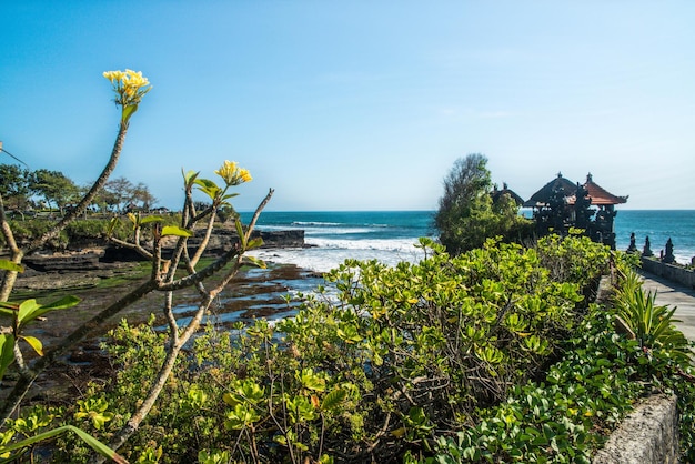 Une belle vue sur le temple de Tanah Lot situé à Bali Indonésie