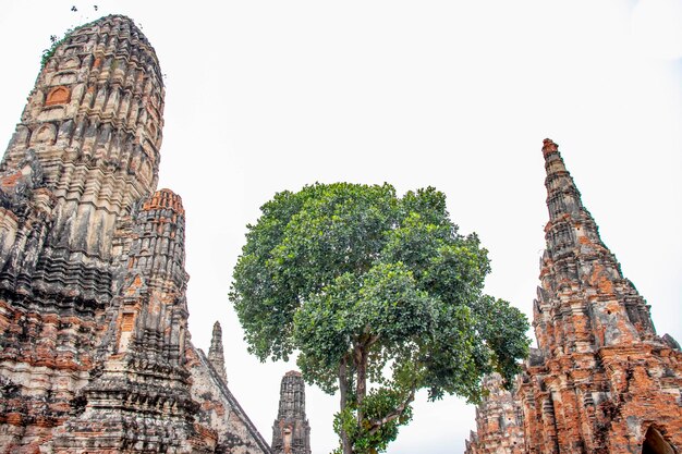 Une belle vue sur le temple Wat Chaiwatthanaram situé à Ayutthaya en Thaïlande