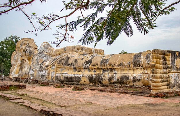 Une belle vue sur le temple Wat Lokaya Sutharam situé à Ayutthaya en Thaïlande