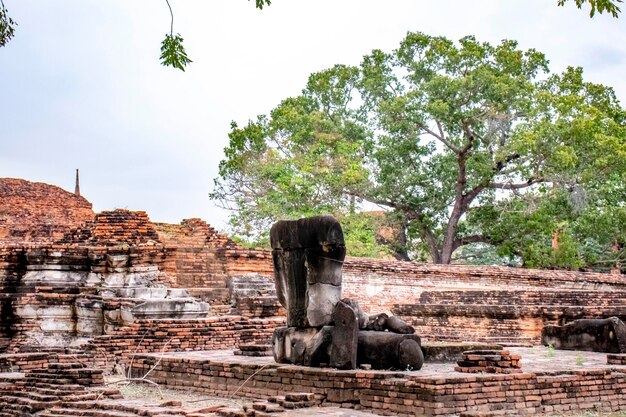 Une belle vue sur le temple Wat Mahathat situé à Ayutthaya en Thaïlande