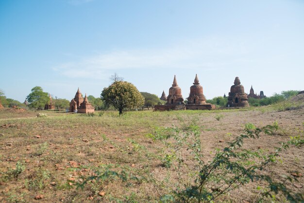 Une belle vue sur les temples bouddhistes de Bagan Myanmar