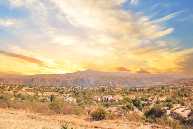 Belle vue sur les terrasses de raisin de Chypre