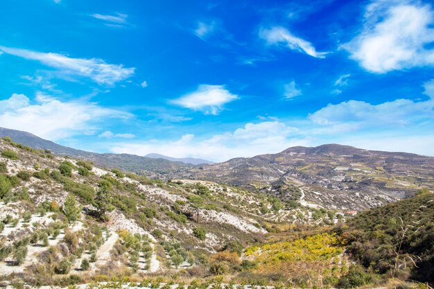 Belle vue sur les terrasses de raisin de Chypre