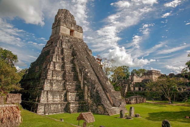 Belle vue sur le Tikal au Guatemala par une journée ensoleillée en pleine nature