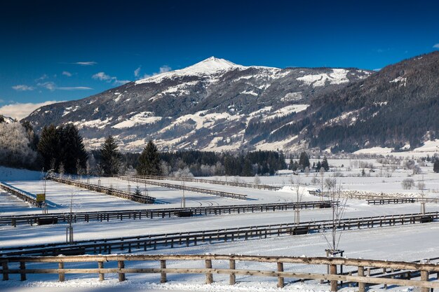 Belle vue sur la vallée avec des haies au pied de la montagne dans les Alpes autrichiennes