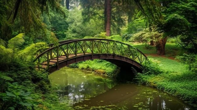 belle vue sur verdure et un pont forestier