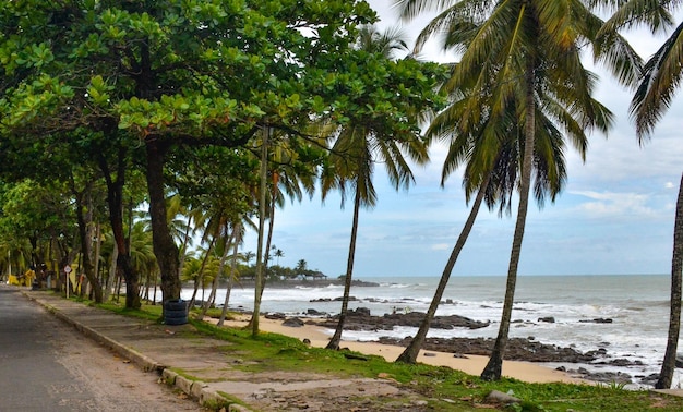 Une belle vue sur la ville d'Ilheus au Brésil