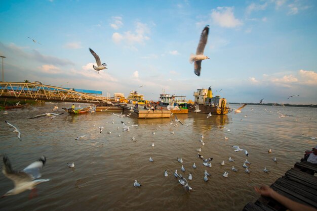 Une belle vue sur Yangon au Myanmar