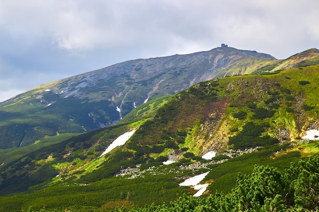 Belles alpes suisses Vue imprenable sur la montagne avec de hauts sommets, des collines verdoyantes et des nuages bas dans la vallée