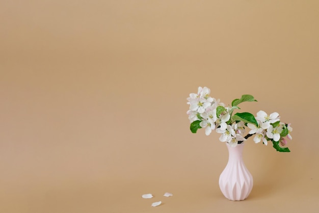 Belles branches d'un pommier en fleurs dans un vase rose sur fond beige avec un espace de copie