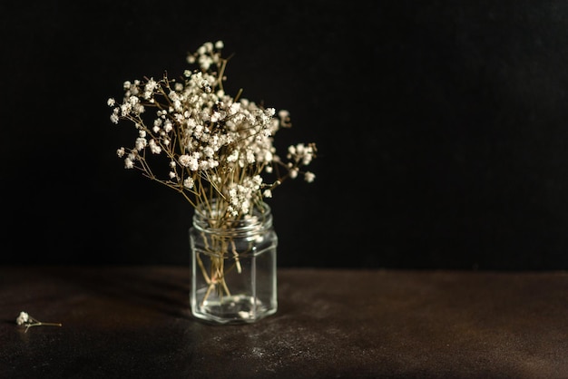 De belles brindilles de gypsophile sec dans une boîte en verre sur un fond de béton foncé