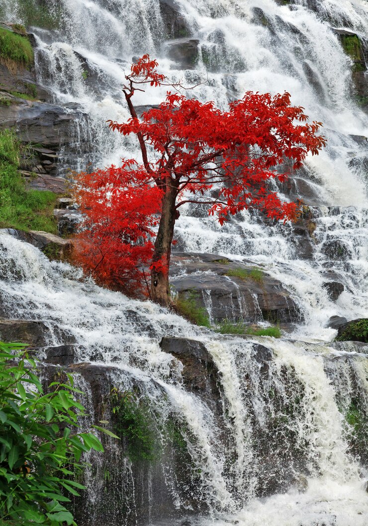Photo belles cascades dans le nord de la thaïlande.